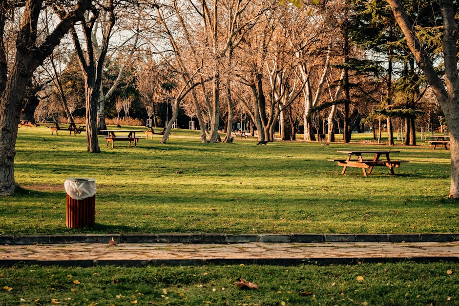 In a park setting during late afternoon, several black rubbish bags filled with garden waste or debris are arranged on the grassy ground beneath tall trees with slender trunks and green to yellow autumn foliage. The sunlight filters through the leaves, casting long shadows on the grass and illuminating the scene with a warm, natural light. The background shows additional trees and dense shrubbery, indicating a spacious, natural environment. The waste bags, typically used for garden or yard clearance, are neatly grouped and appear to be sealed, ready for collection or disposal. This scene illustrates an example of garden rubbish removal, which might be managed through private waste collection services such as Rubbish Clearance Watford, highlighting the importance of proper yard waste management during seasonal clean-ups.